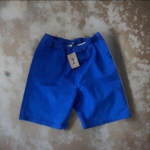 Stussy Brushed Beach Shorts Royal Blue